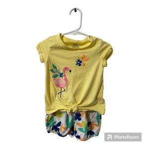 Carter's Girls 2-Piece Flamingo T-Shirt and Shorts Set